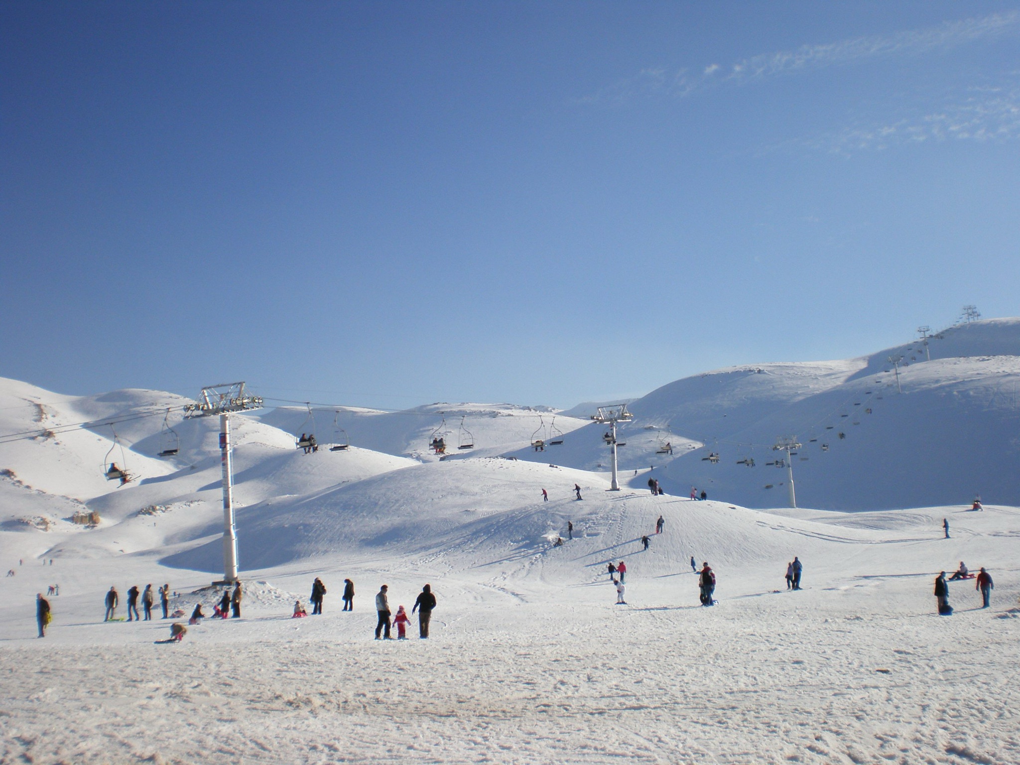 faraya