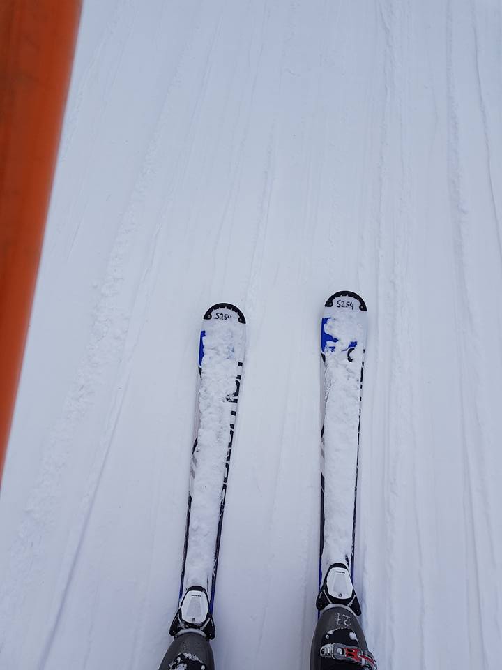 28782897_10156030788207667_5719095411994178701_n