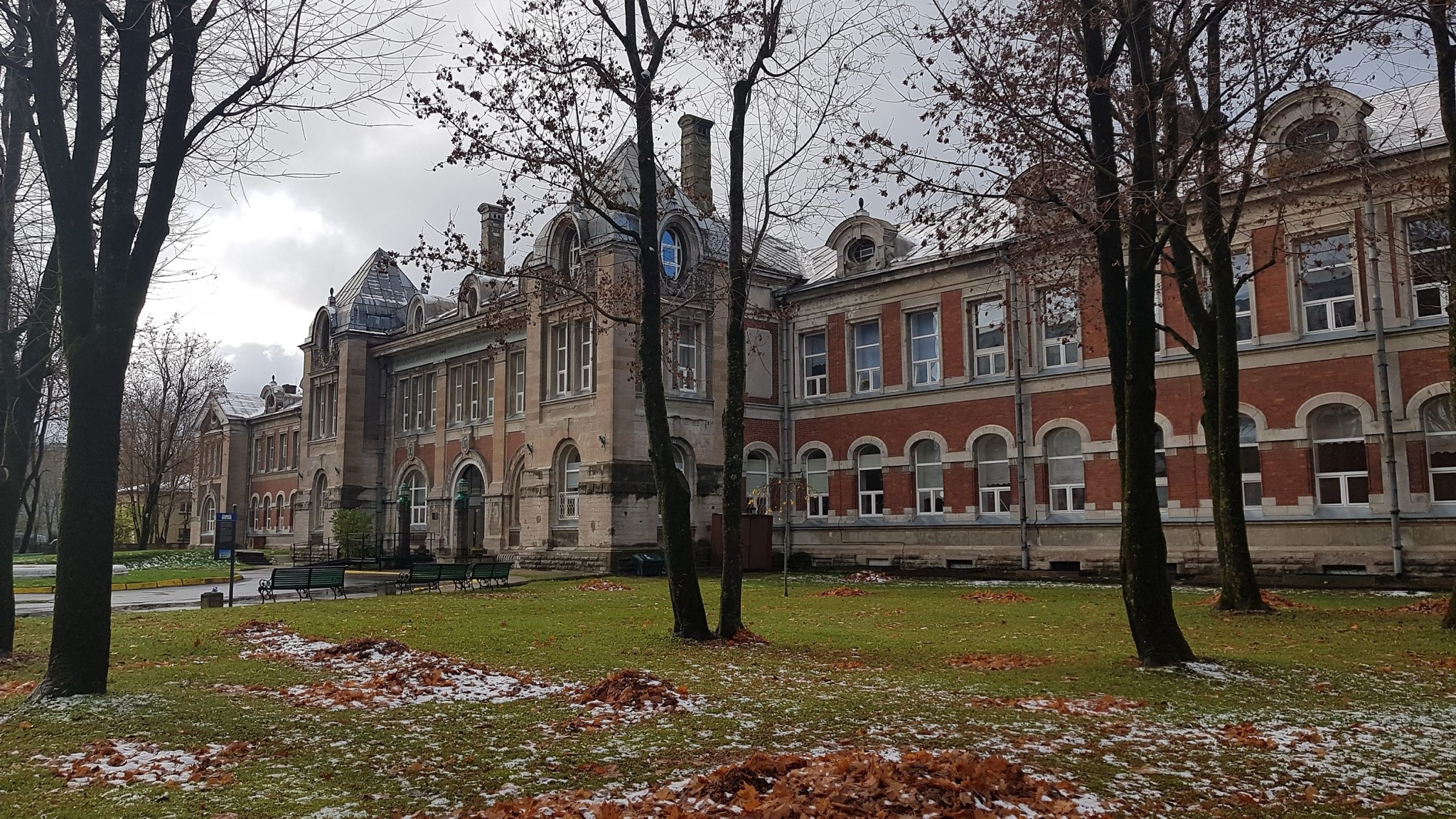 20181028_113527.jpg