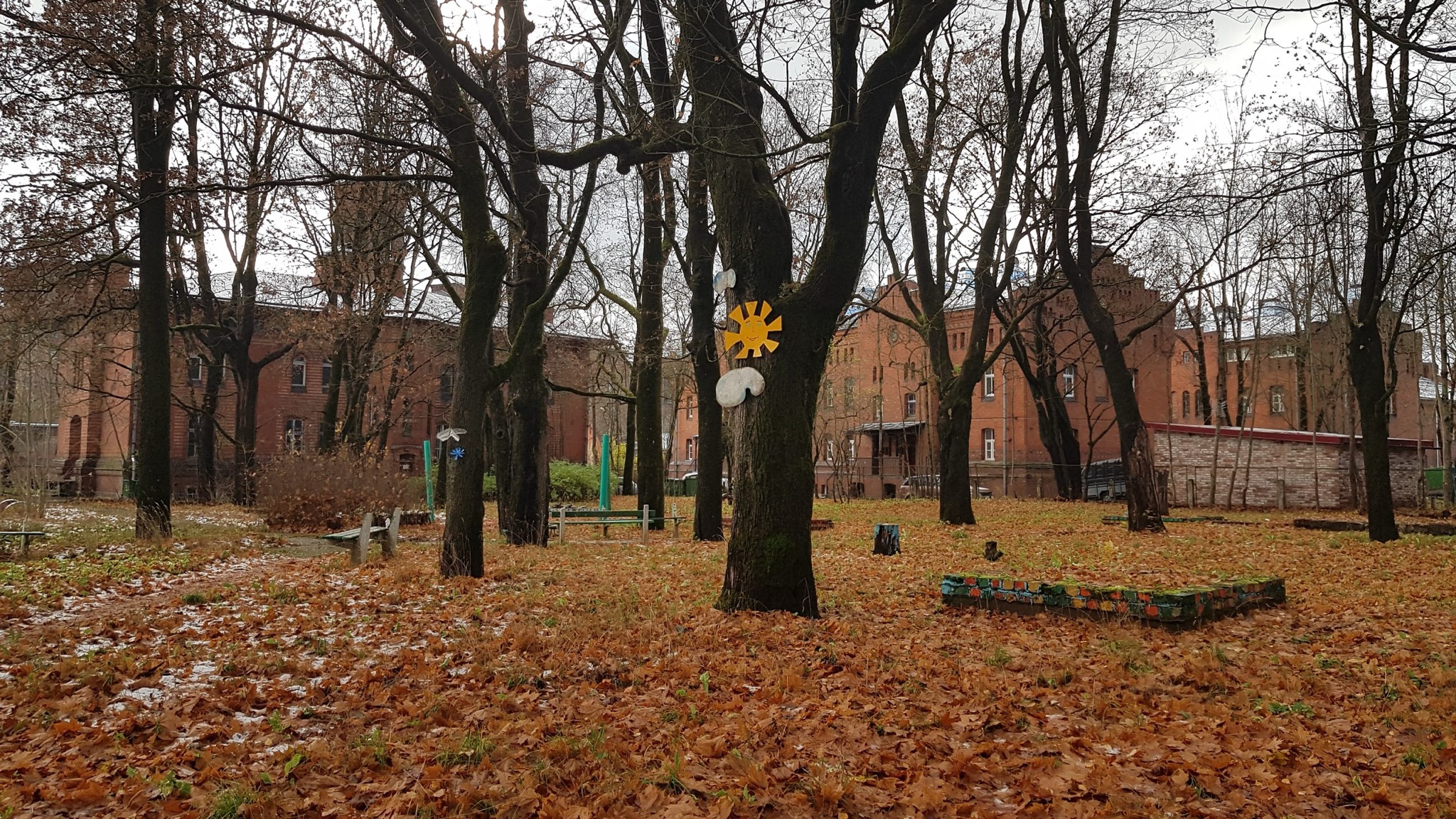 20181028_114030.jpg