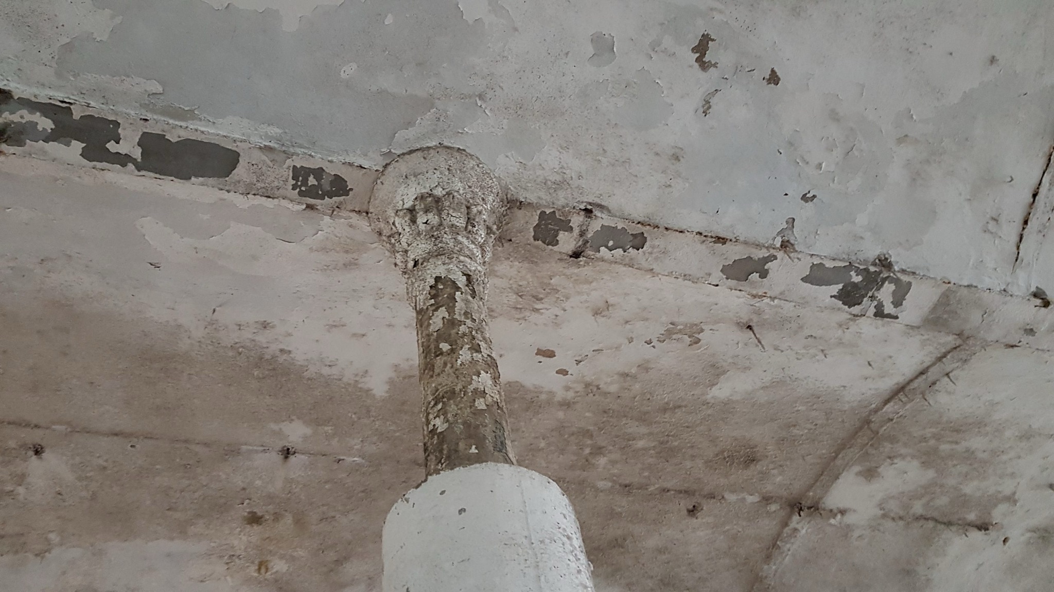 20181028_123113.jpg